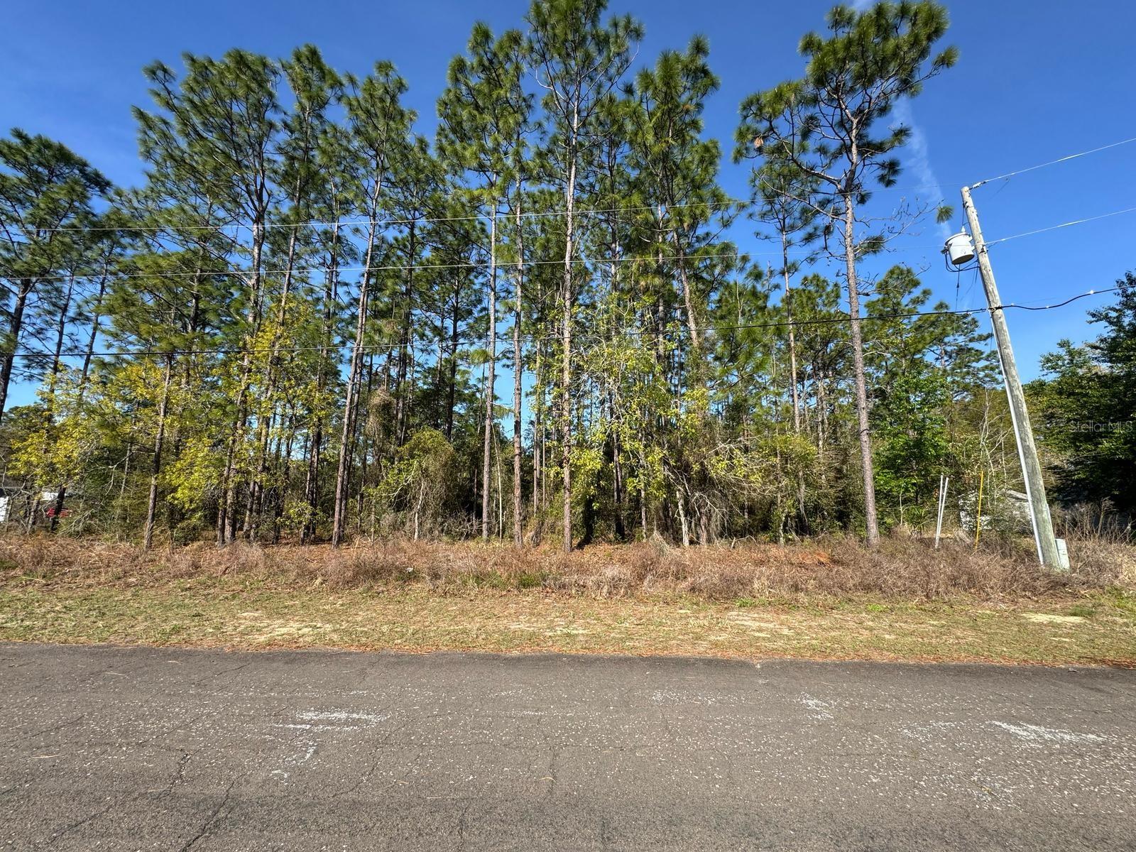 7004 N LOCKWOOD WAY, CITRUS SPRINGS, FL, 34434