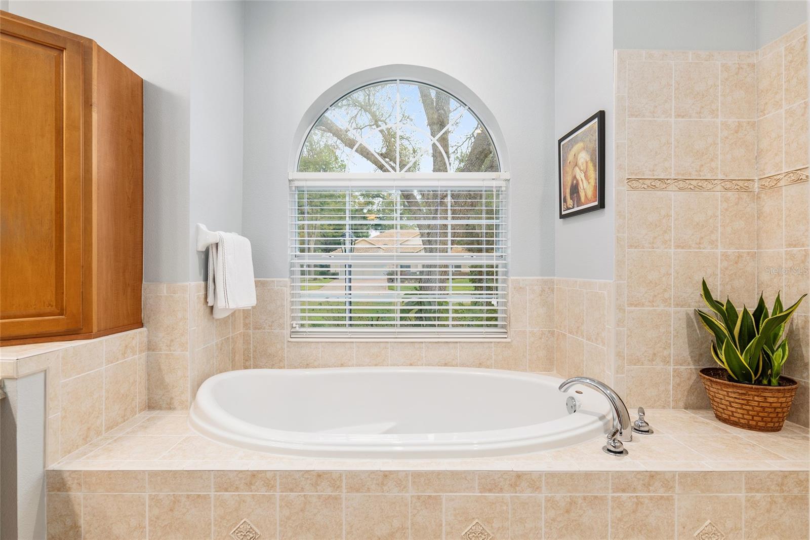 19586 SW 84TH PL, DUNNELLON, FL, 34432