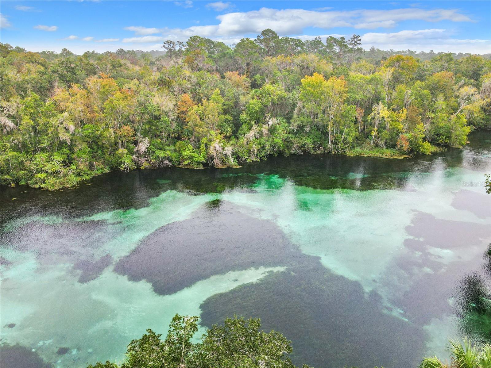 19586 SW 84TH PL, DUNNELLON, FL, 34432