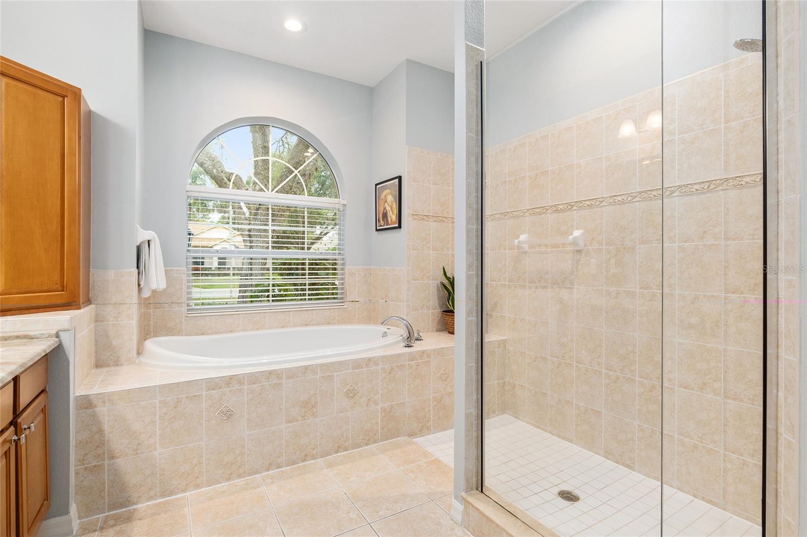 19586 SW 84TH PL, DUNNELLON, FL, 34432