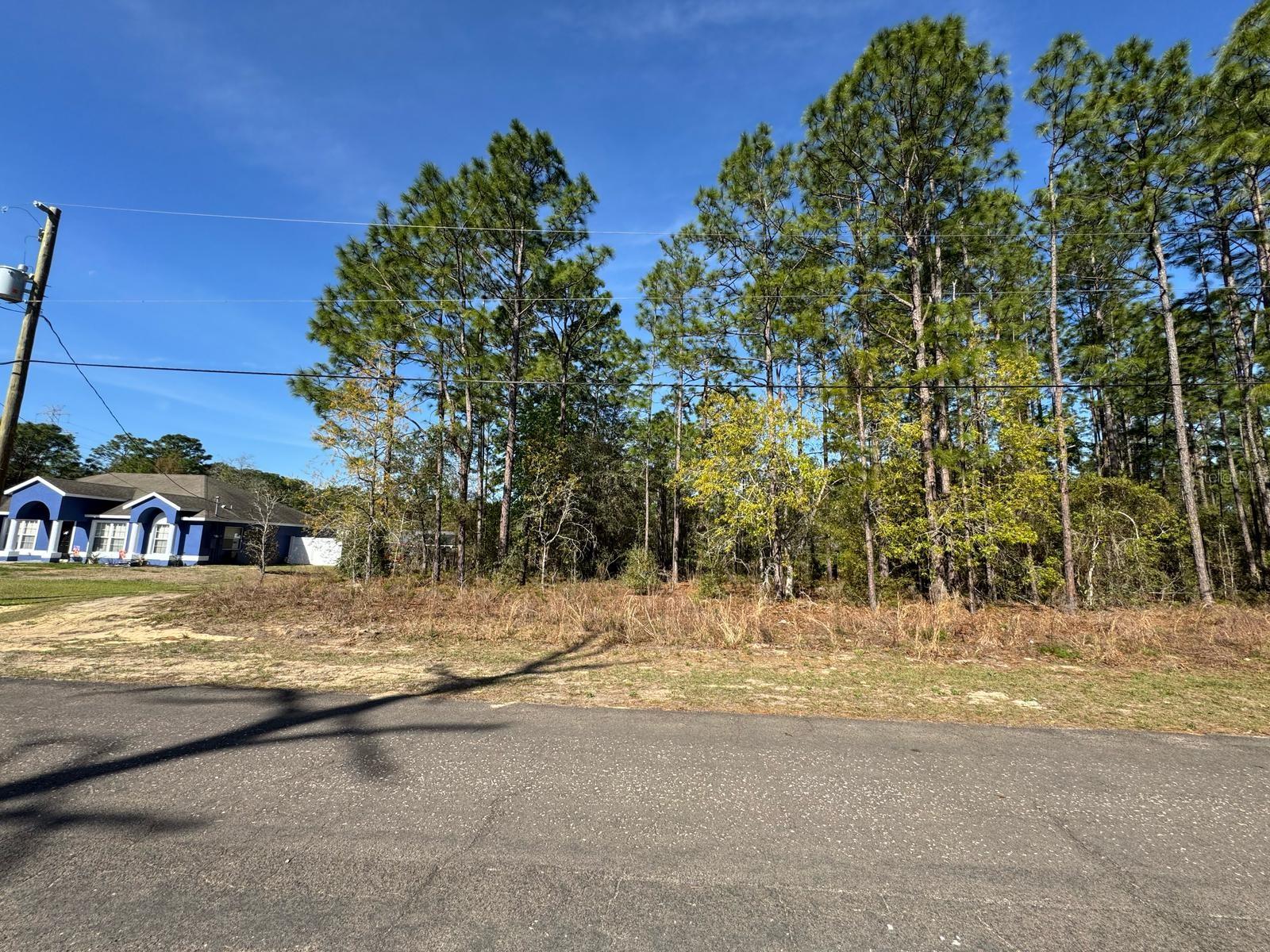 6994 N LOCKWOOD WAY, CITRUS SPRINGS, FL, 34434