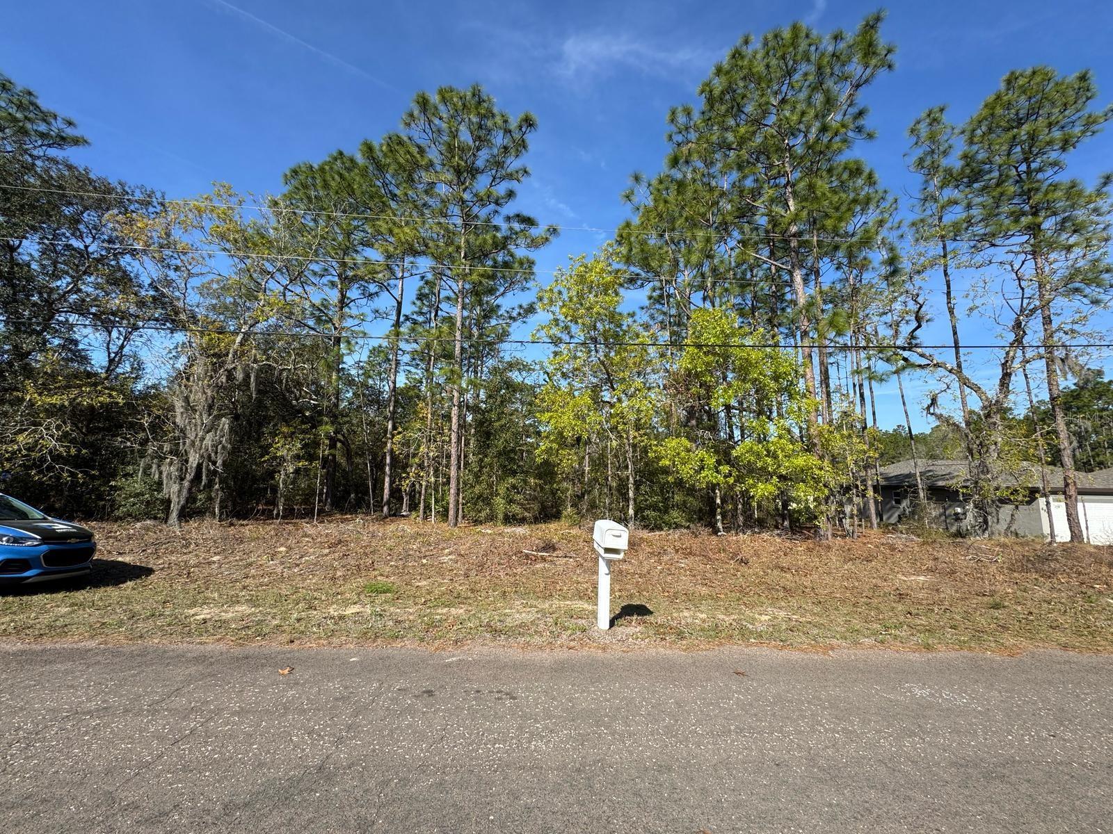 6948 N LOCKWOOD WAY, CITRUS SPRINGS, FL, 34434