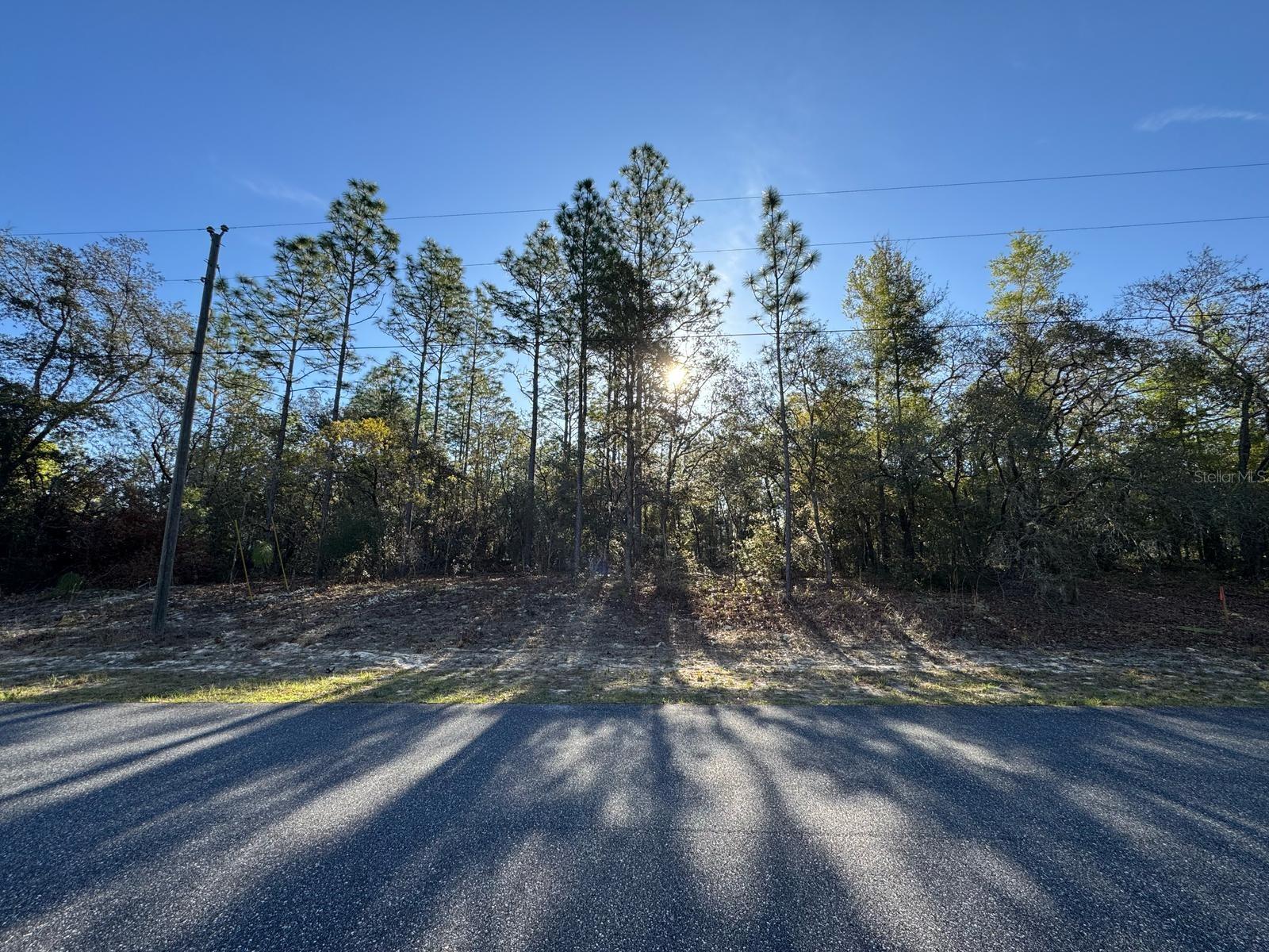 8161 N TRIANA DR, CITRUS SPRINGS, FL, 34434