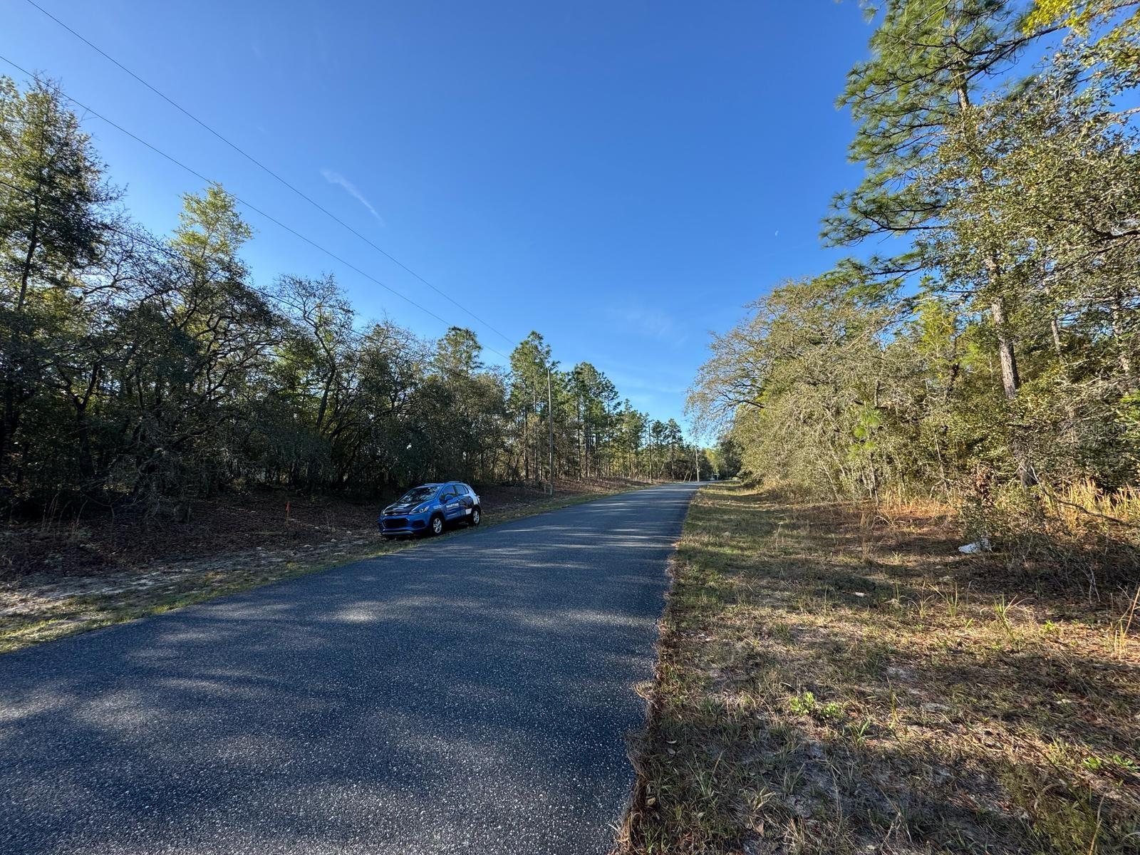 8161 N TRIANA DR, CITRUS SPRINGS, FL, 34434