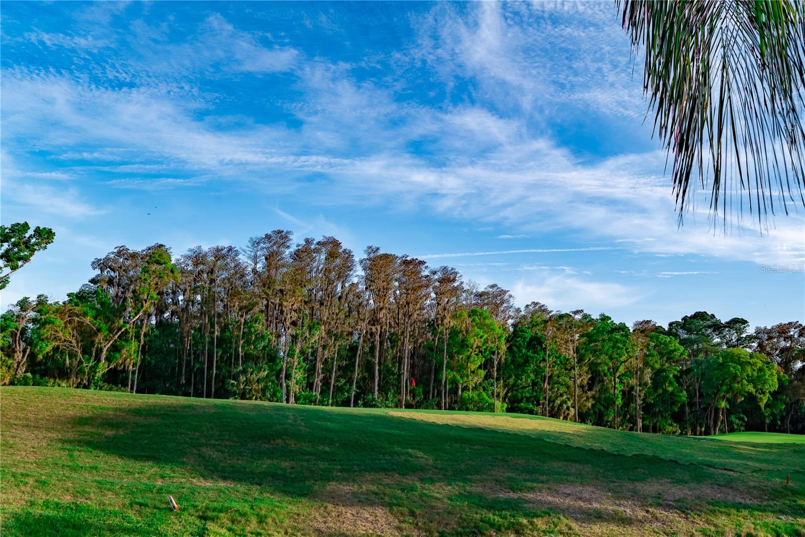 5156 PINNACLE DR, OLDSMAR, FL, 34677