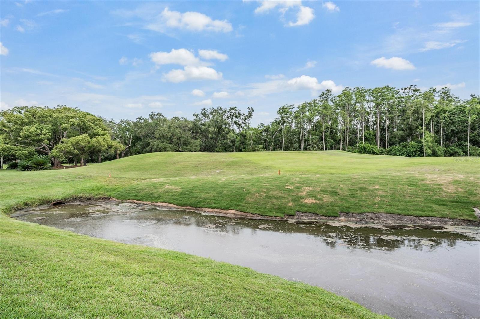 5156 PINNACLE DR, OLDSMAR, FL, 34677