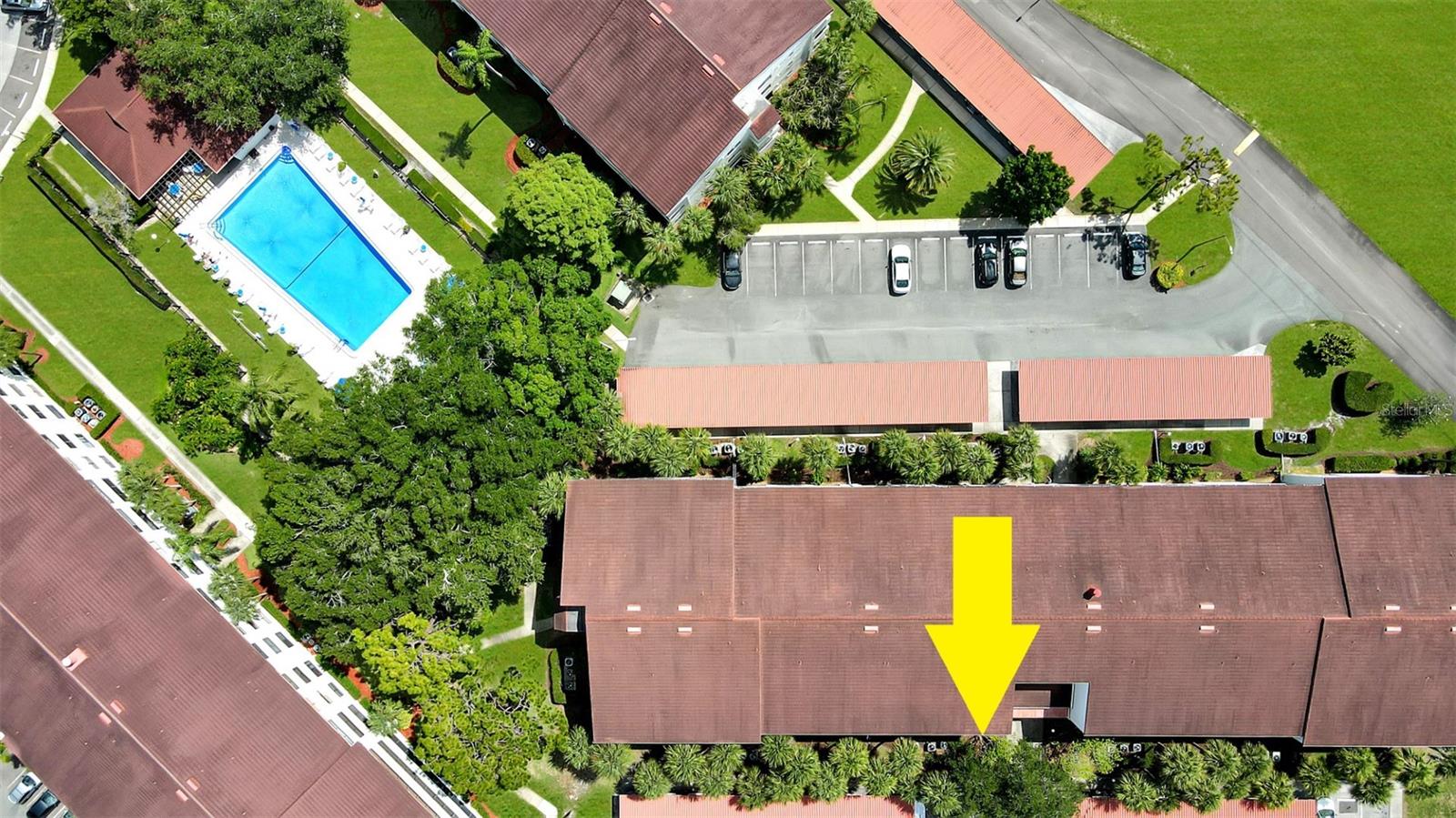 2593 COUNTRYSIDE BLVD #7305, CLEARWATER, FL, 33761