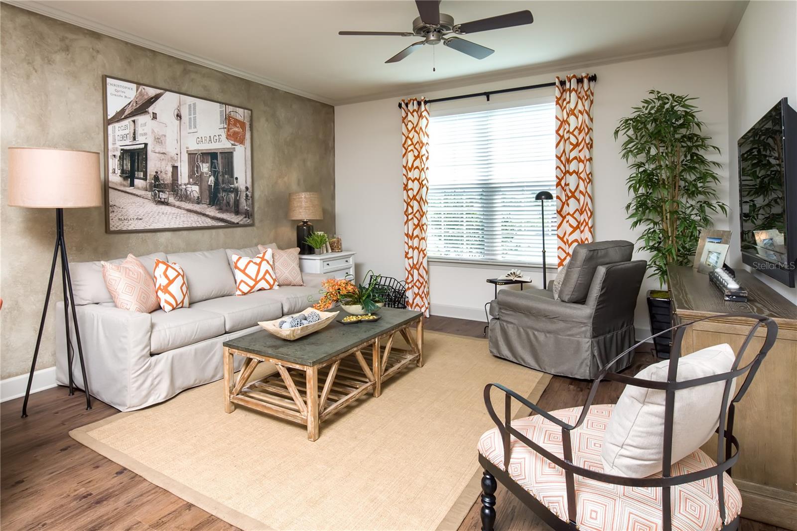 11405 BILLFISH CIR #Davis, TRINITY, FL, 34655