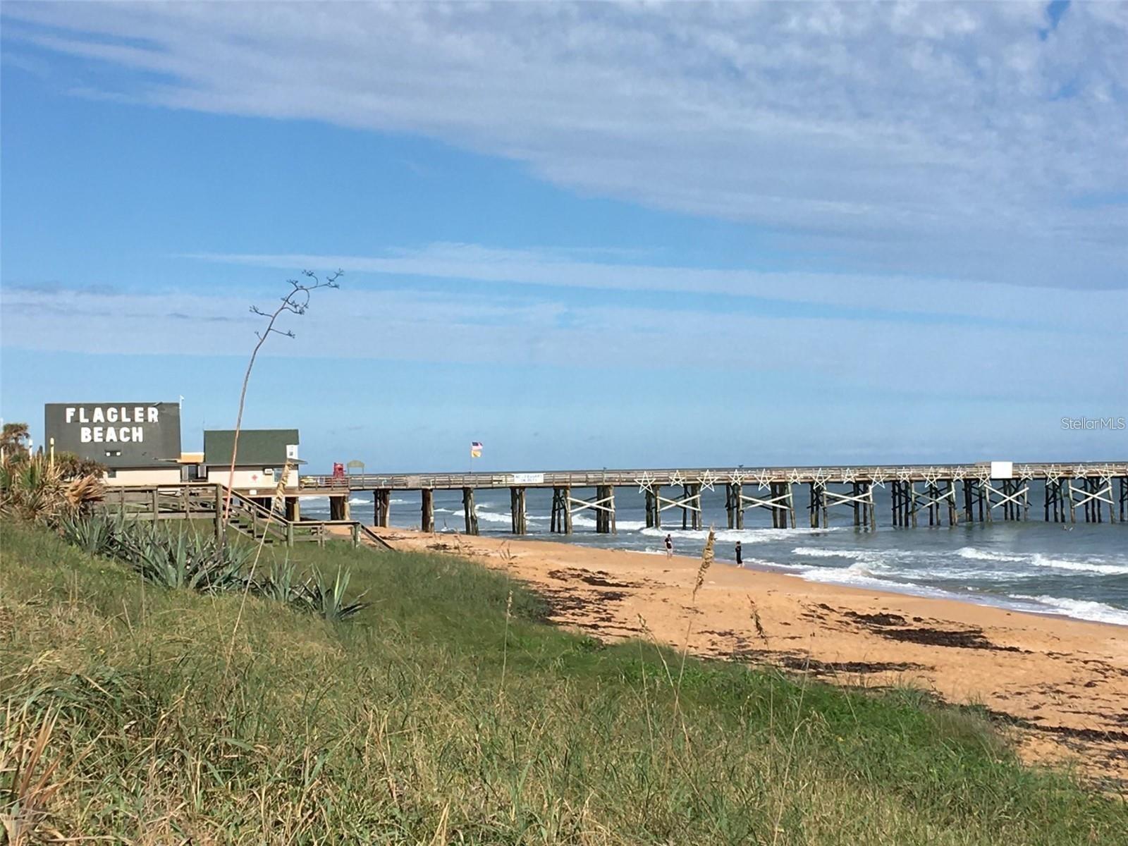 2 LONGVIEW LN, PALM COAST, FL, 32137