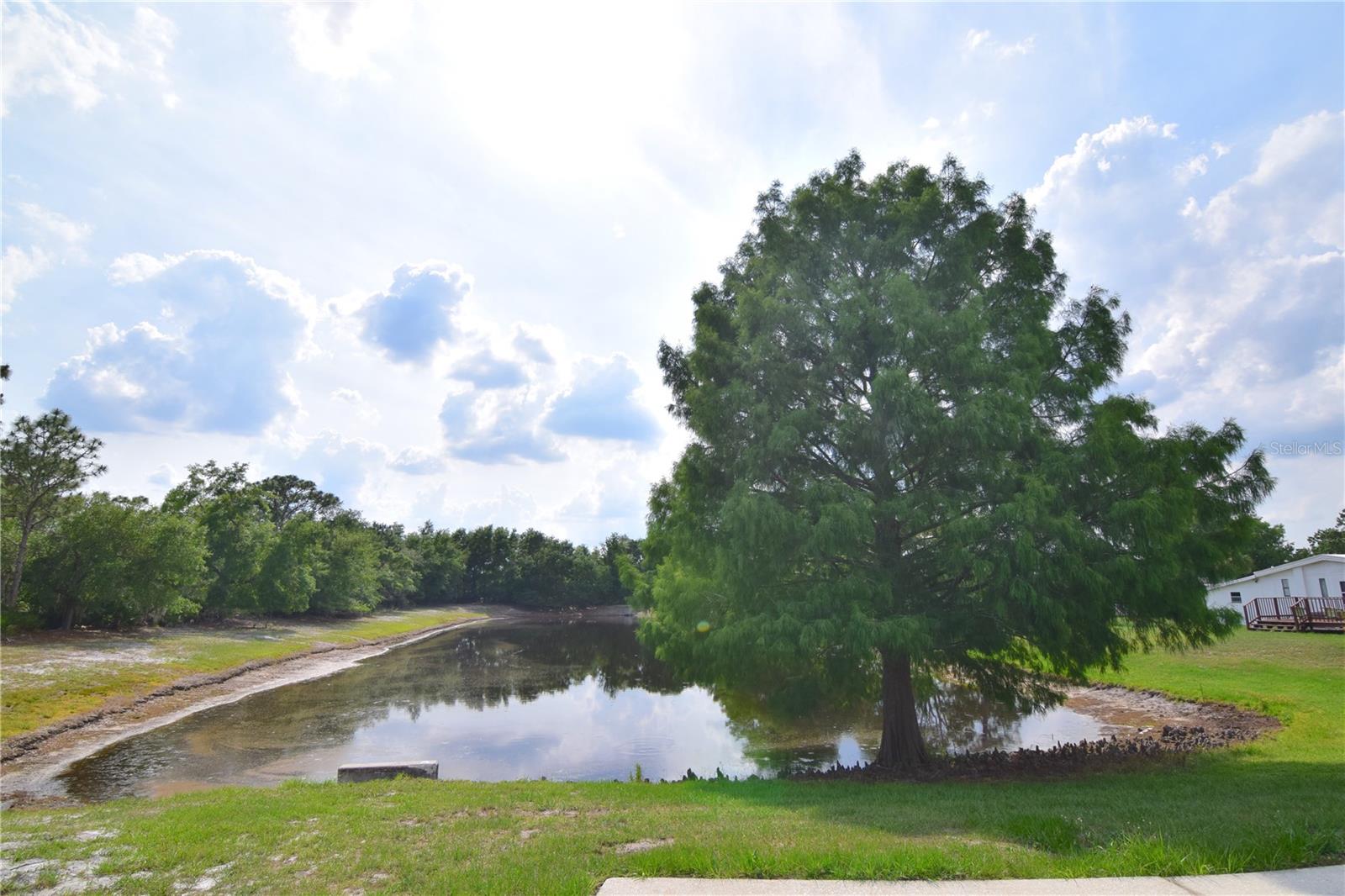 4180 SUGAR PALM TER, OVIEDO, FL, 32765