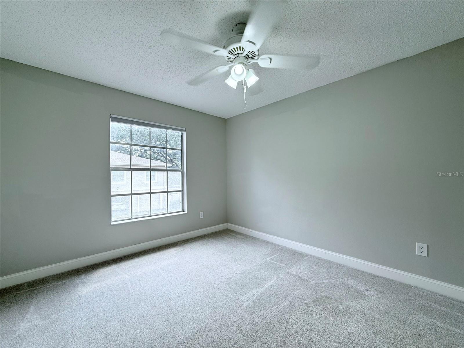 11893 RAINTREE DR, TEMPLE TERRACE, FL, 33617