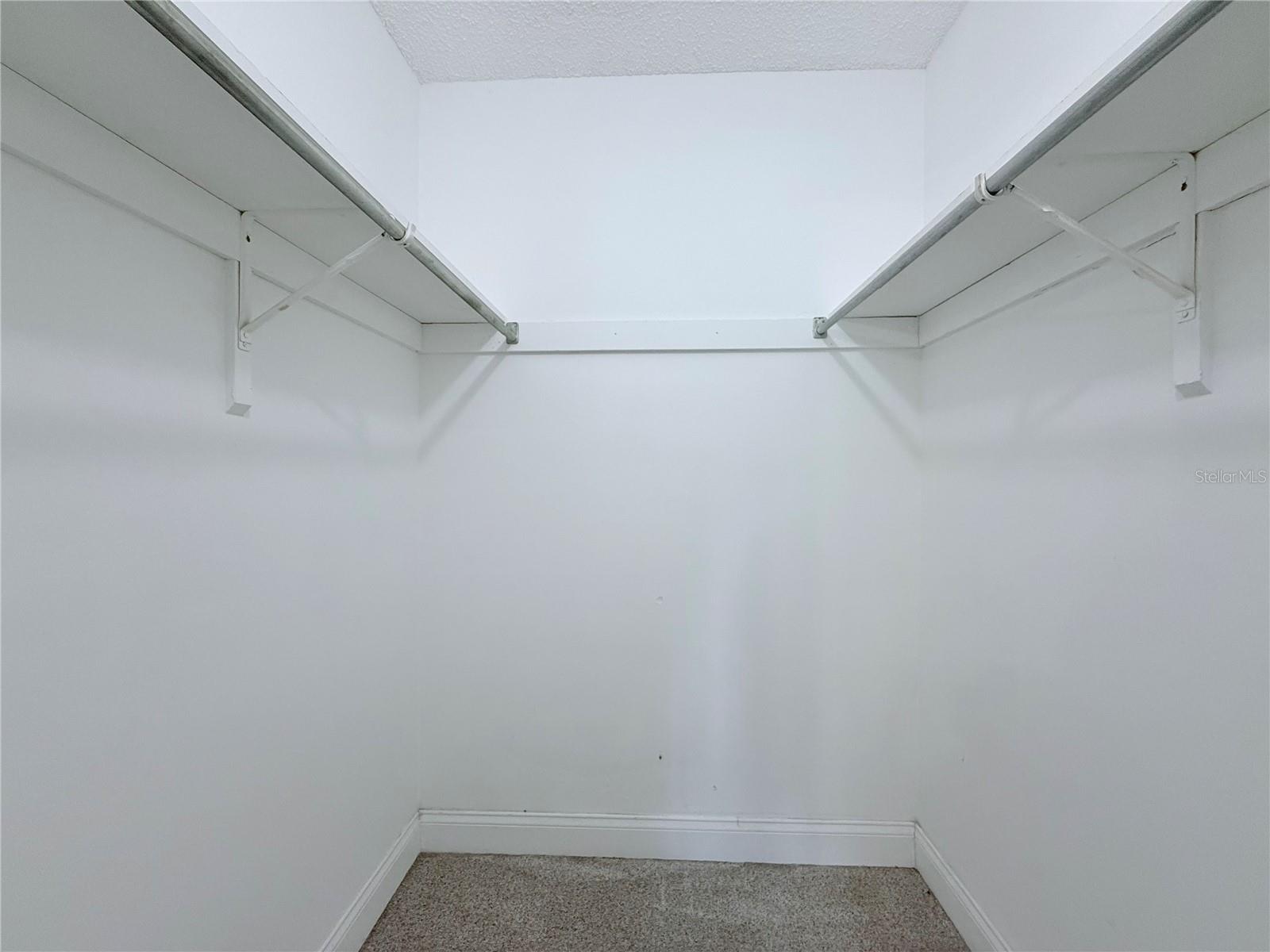 11893 RAINTREE DR, TEMPLE TERRACE, FL, 33617