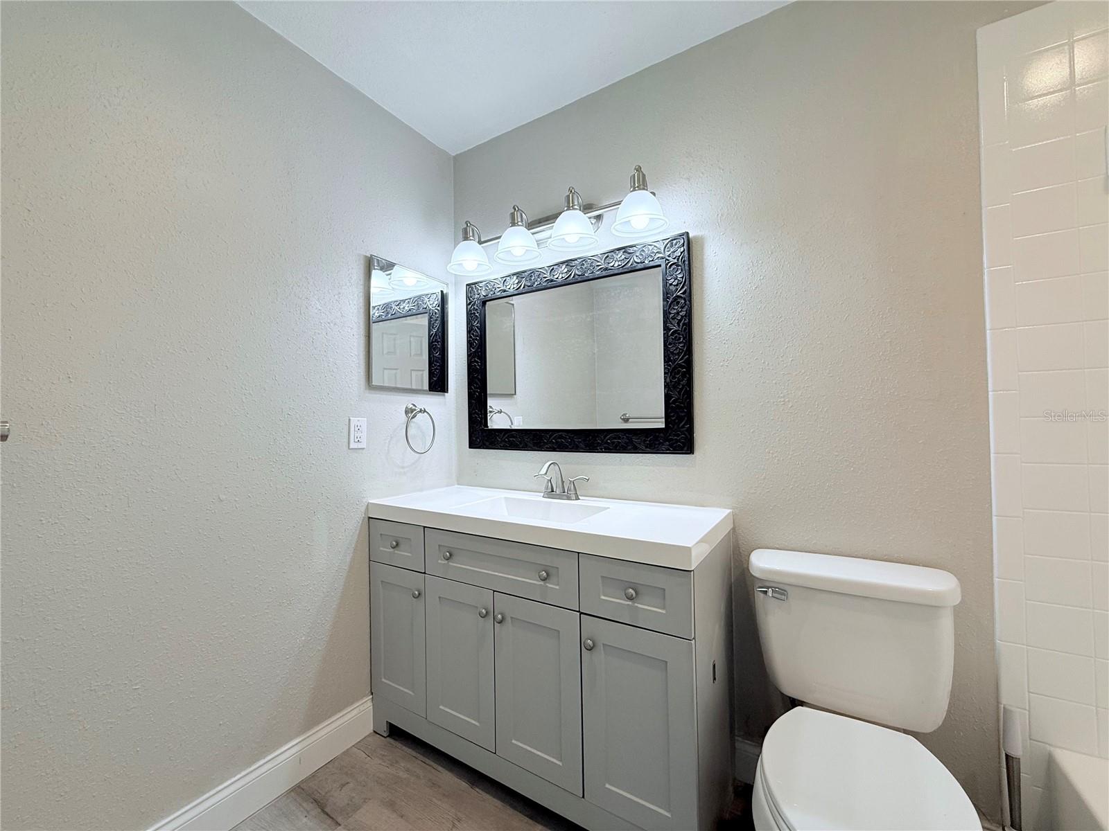 11893 RAINTREE DR, TEMPLE TERRACE, FL, 33617