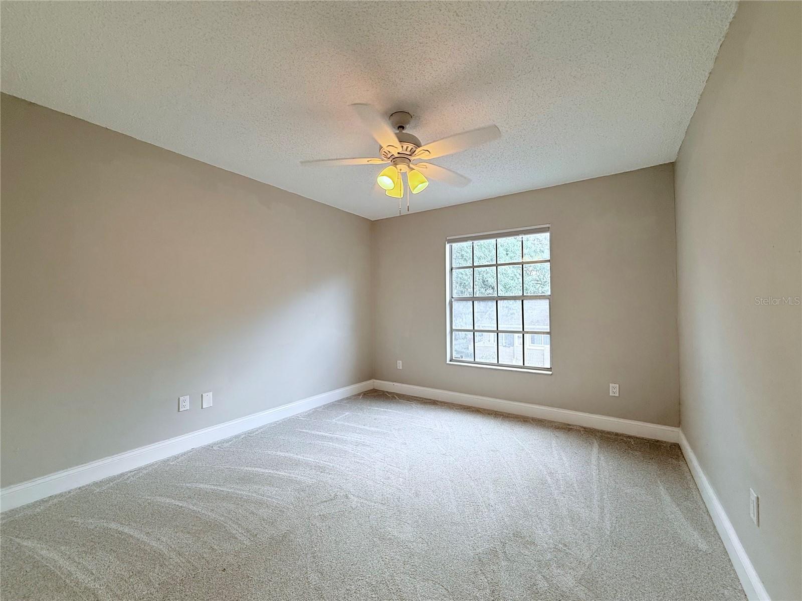 11893 RAINTREE DR, TEMPLE TERRACE, FL, 33617