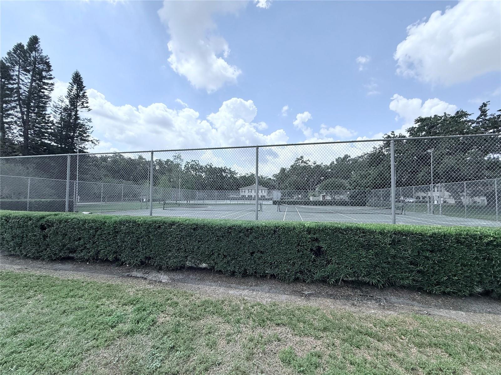 11893 RAINTREE DR, TEMPLE TERRACE, FL, 33617