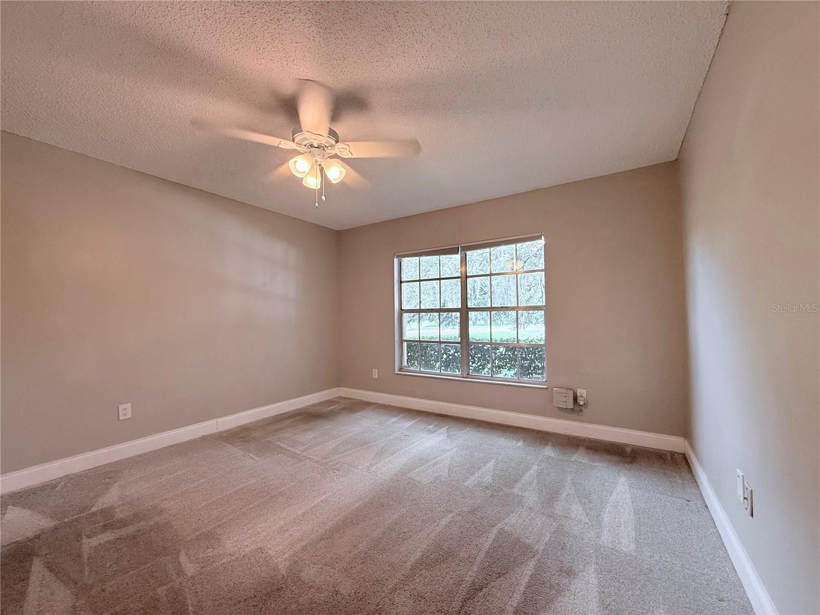 11893 RAINTREE DR, TEMPLE TERRACE, FL, 33617