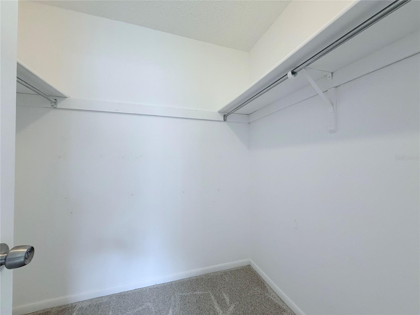 11893 RAINTREE DR, TEMPLE TERRACE, FL, 33617