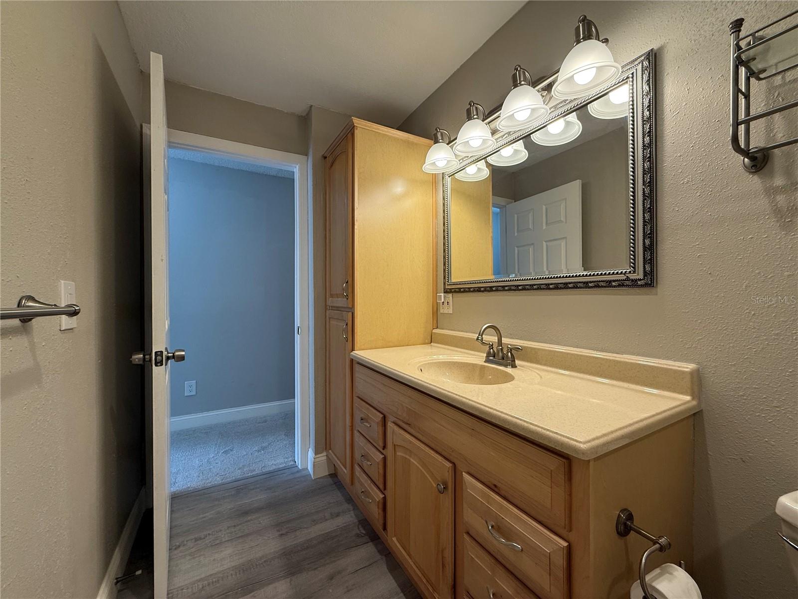 11893 RAINTREE DR, TEMPLE TERRACE, FL, 33617