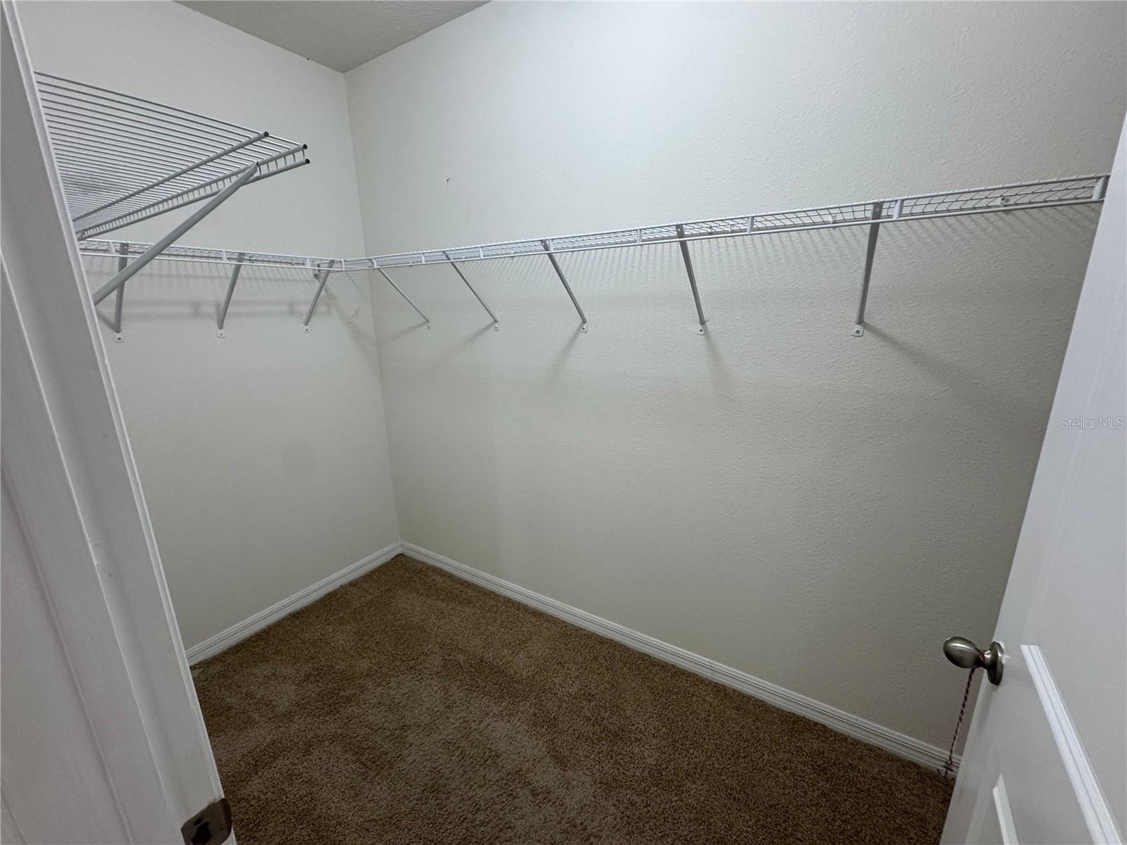 10829 TRAILING VINE DR, TAMPA, FL, 33610