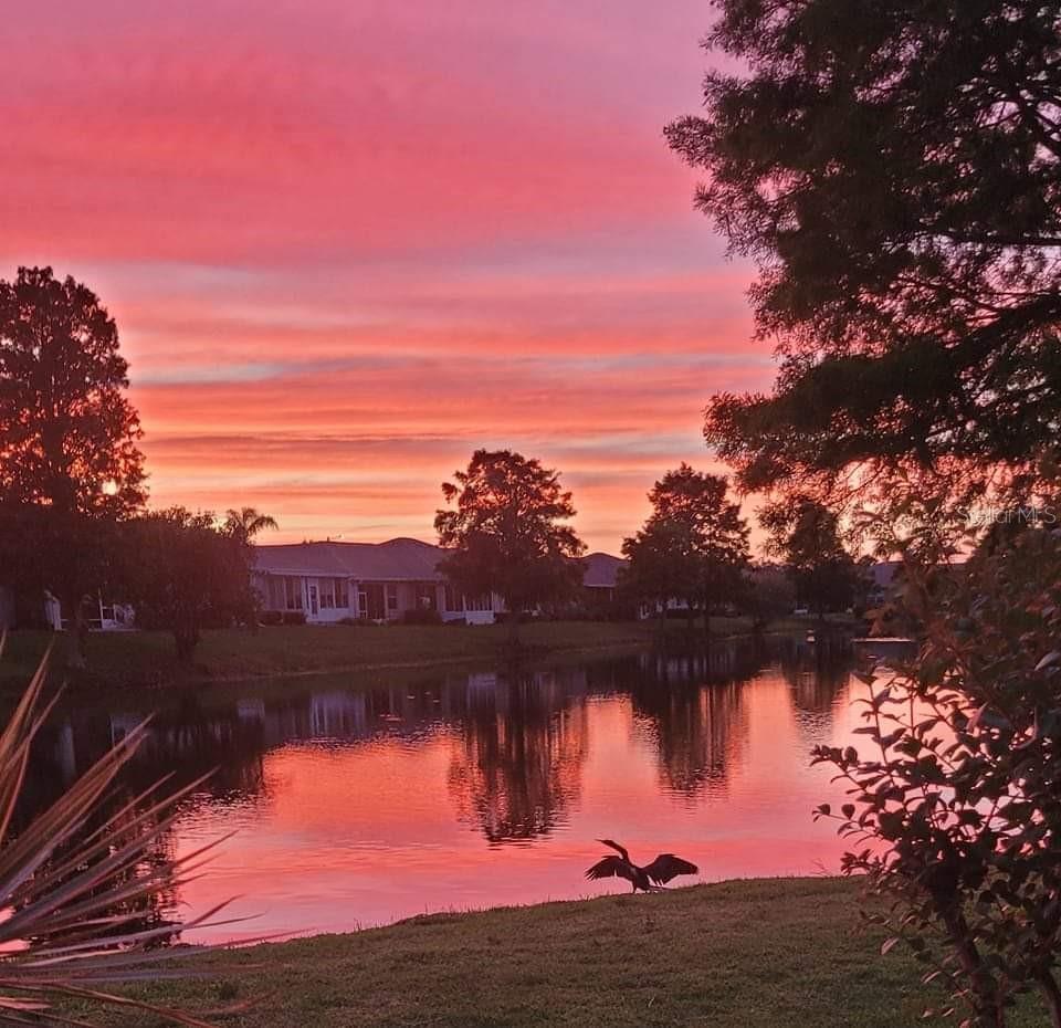 834 TREMONT GREENS LN #137, SUN CITY CENTER, FL, 33573