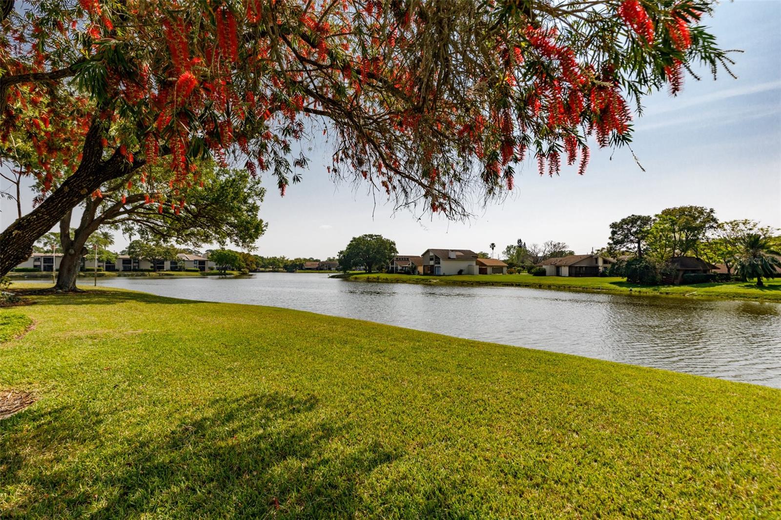 142 LAKEVIEW WAY #142, OLDSMAR, FL, 34677