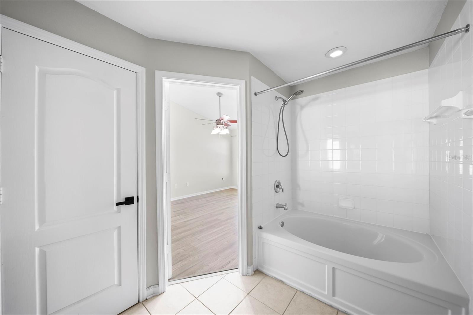 26614 CASTLEVIEW WAY, WESLEY CHAPEL, FL, 33544