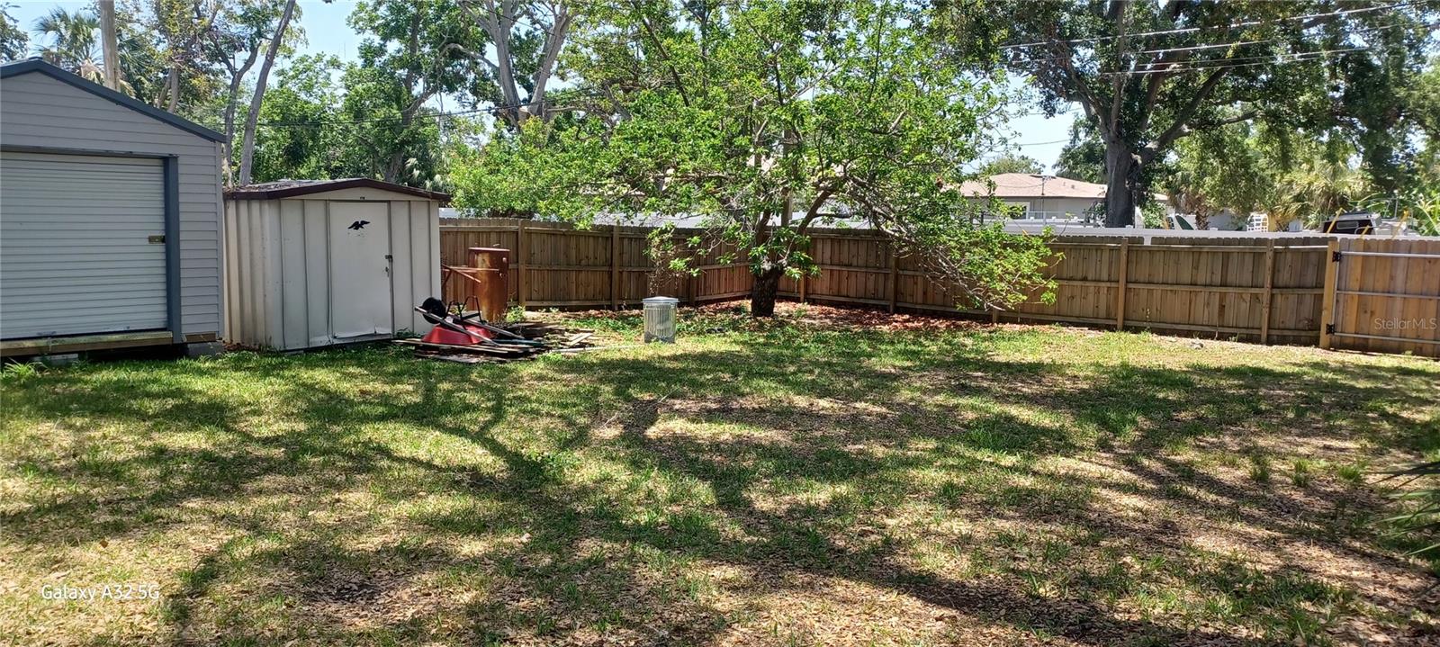 Back Yard