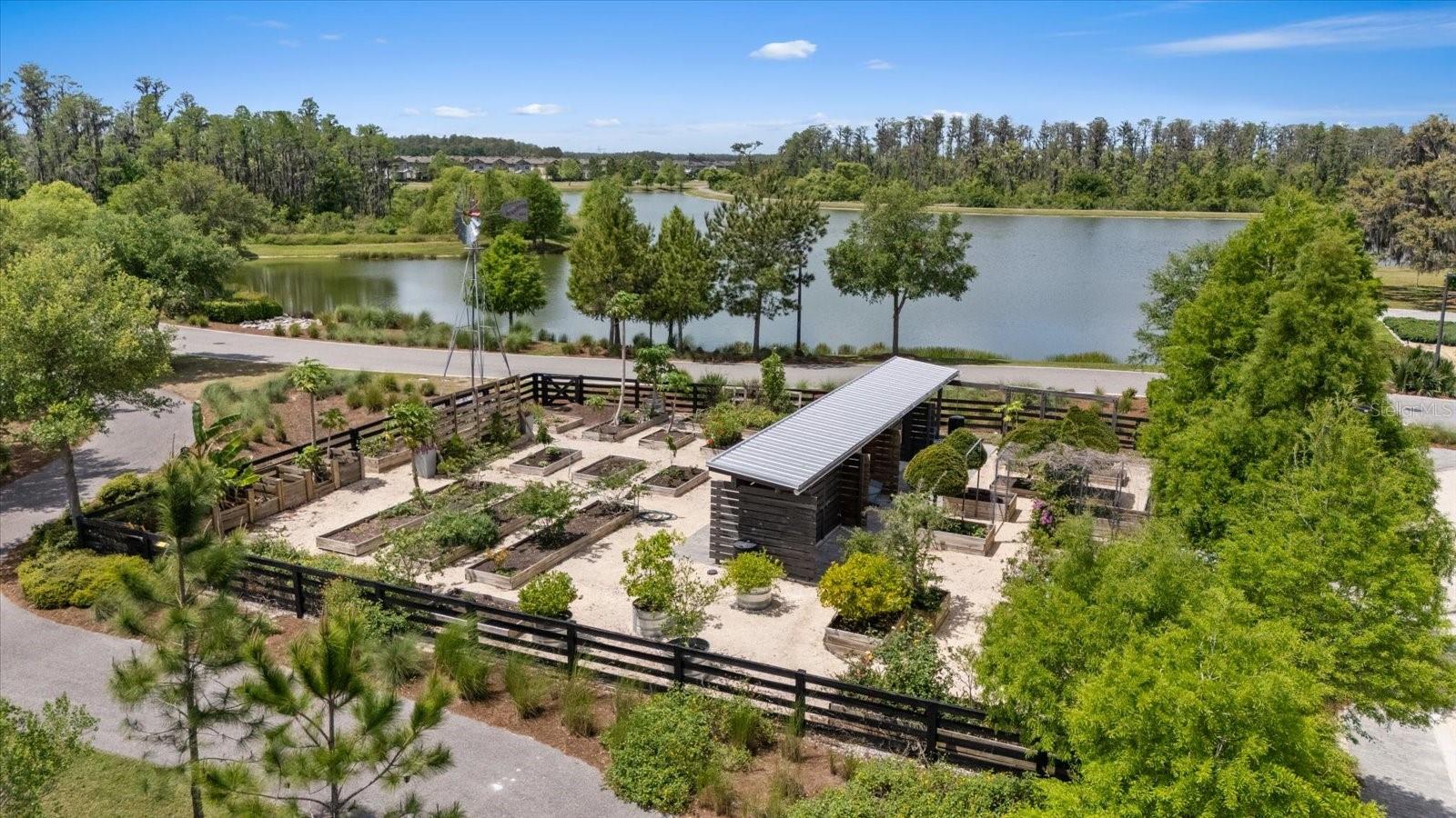 Esplanade at Starkey Ranch