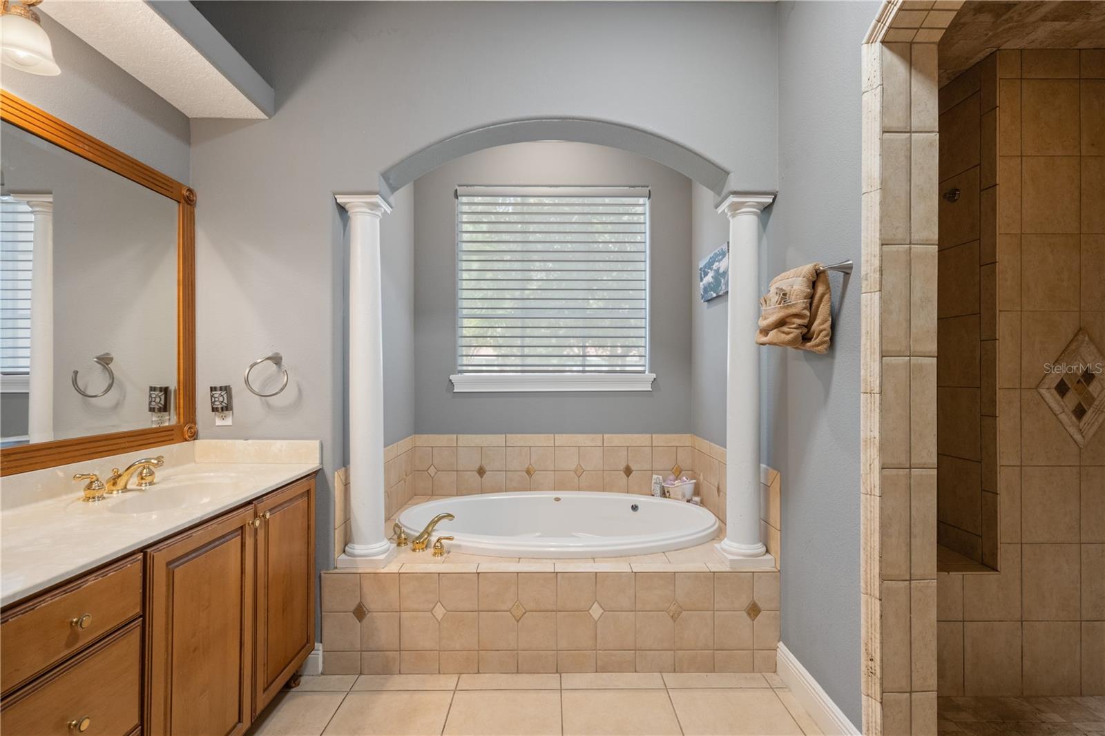 8475 EAGLES LOOP CIR, WINDERMERE, FL, 34786