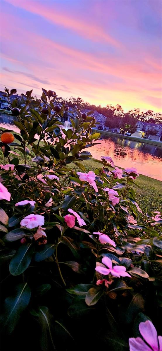 1962 MARLINGTON WAY, CLEARWATER, FL, 33763