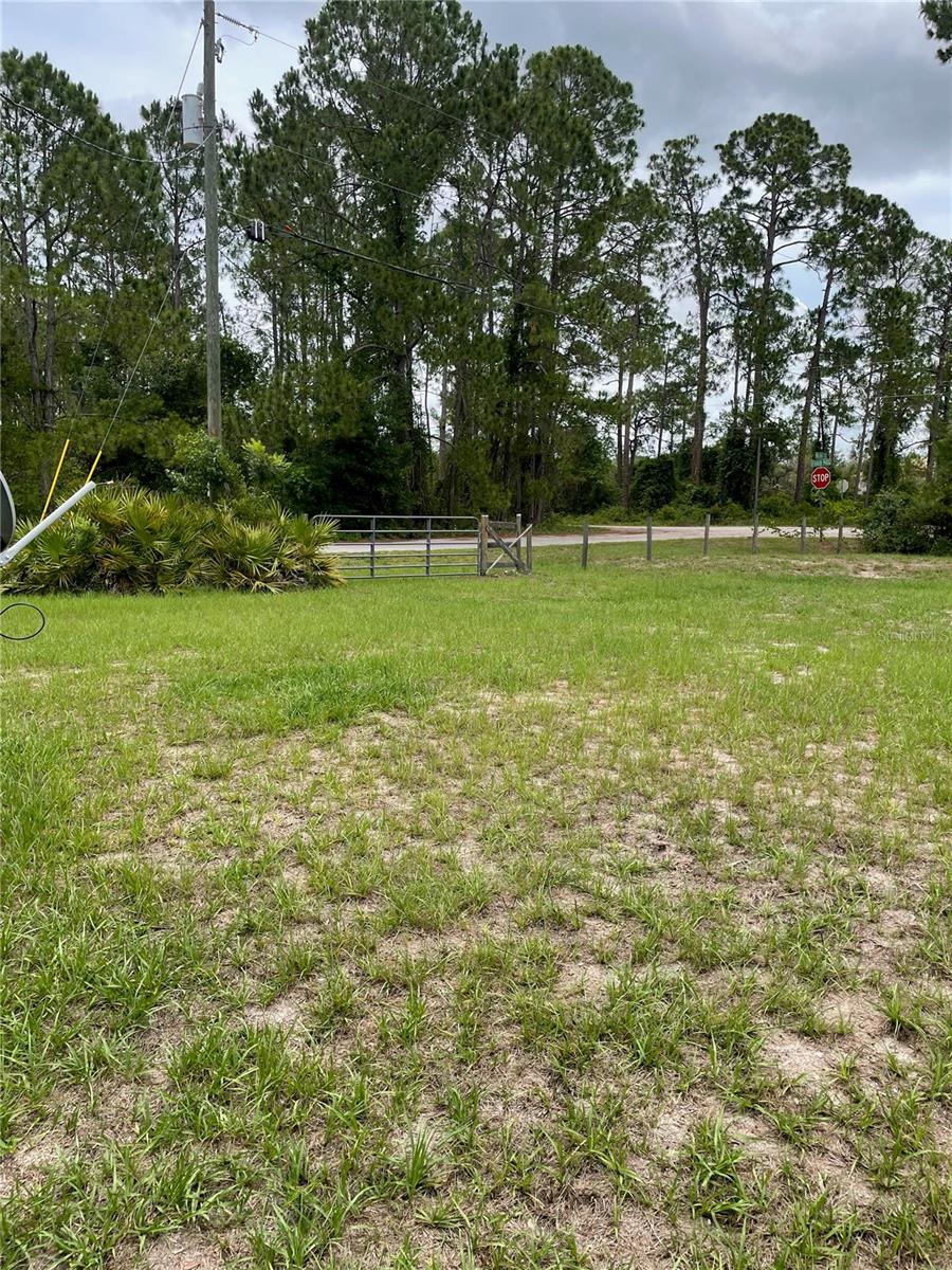 24 MALAUKA TER, OCKLAWAHA, FL, 32179