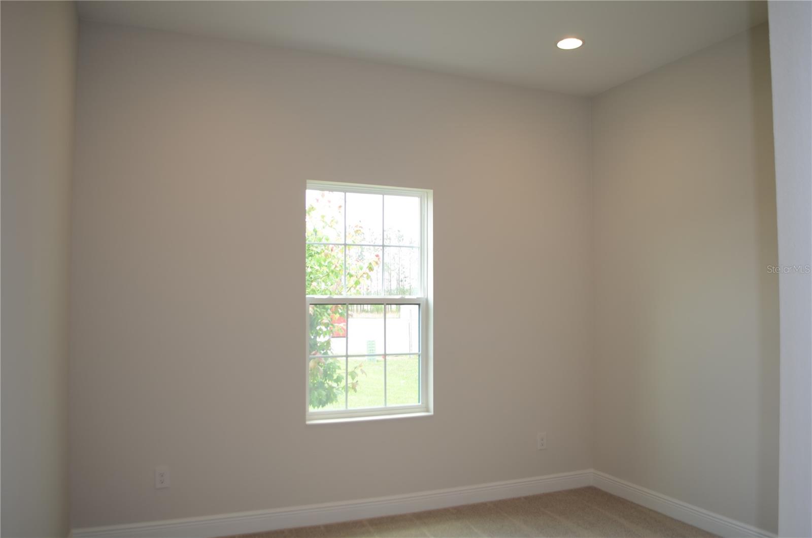 35335 BIG HAWK DR, ZEPHYRHILLS, FL, 33541