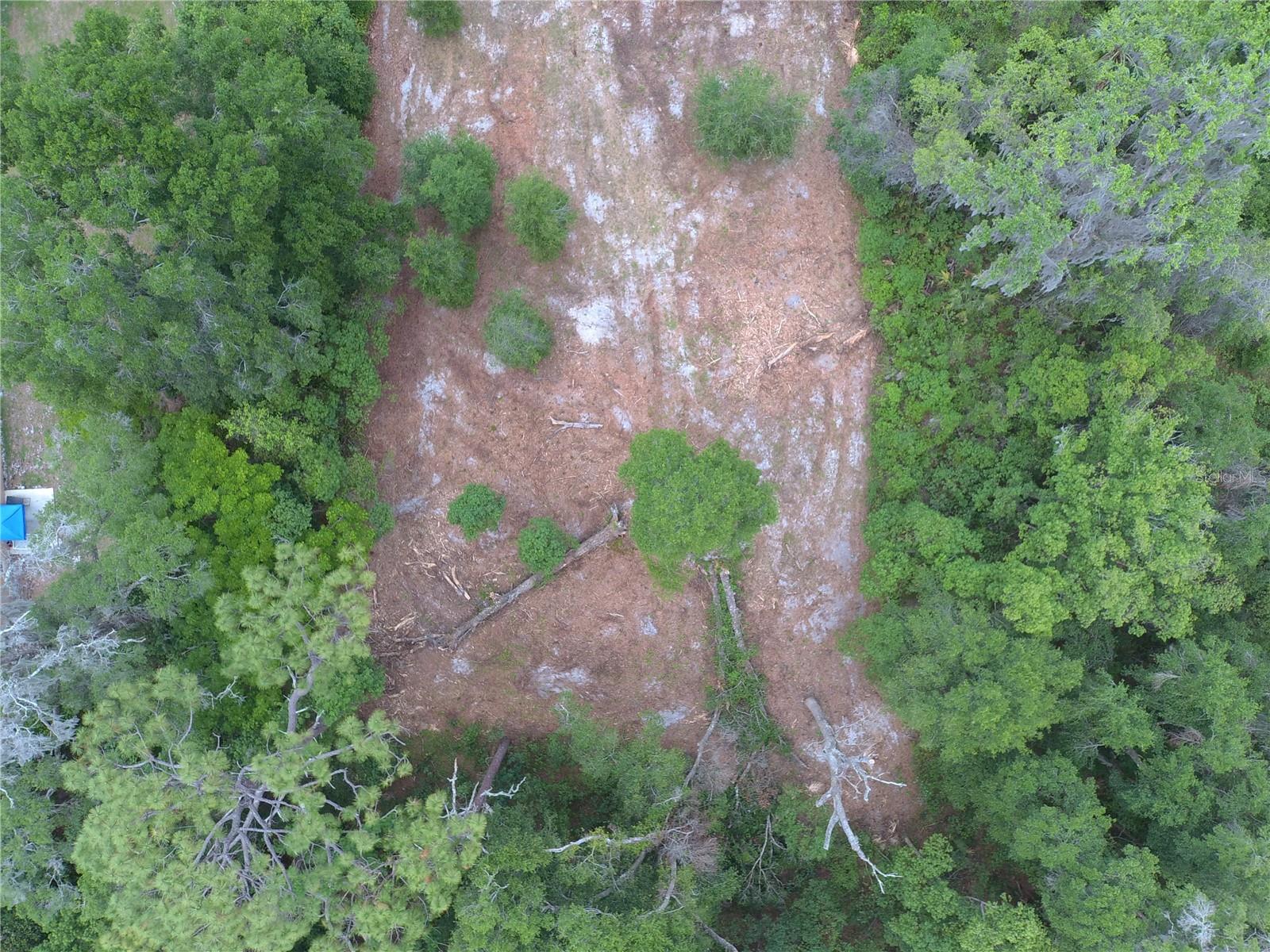 COBERLY DR, DELAND, FL, 32720