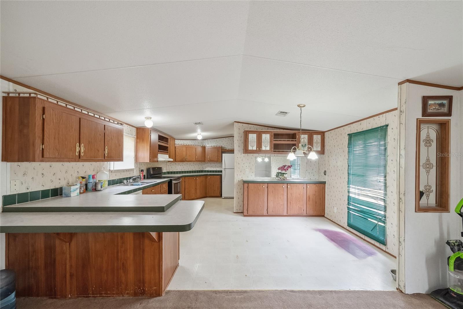 21750 SE 66TH ST, MORRISTON, FL, 32668