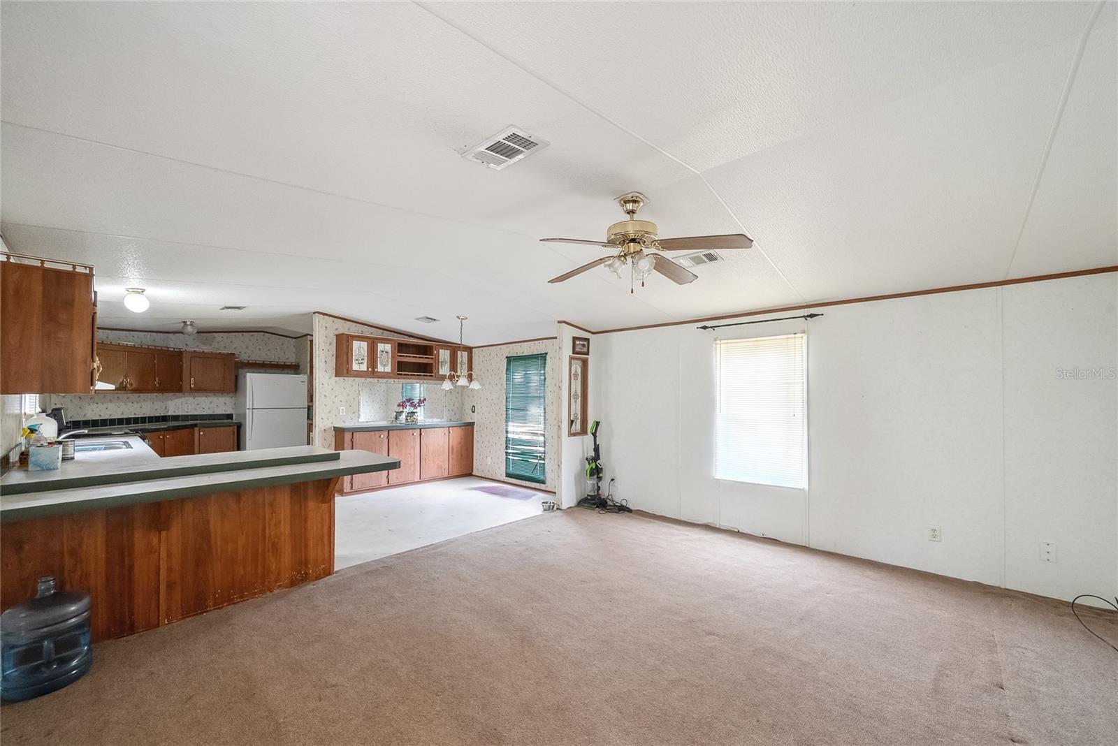 21750 SE 66TH ST, MORRISTON, FL, 32668