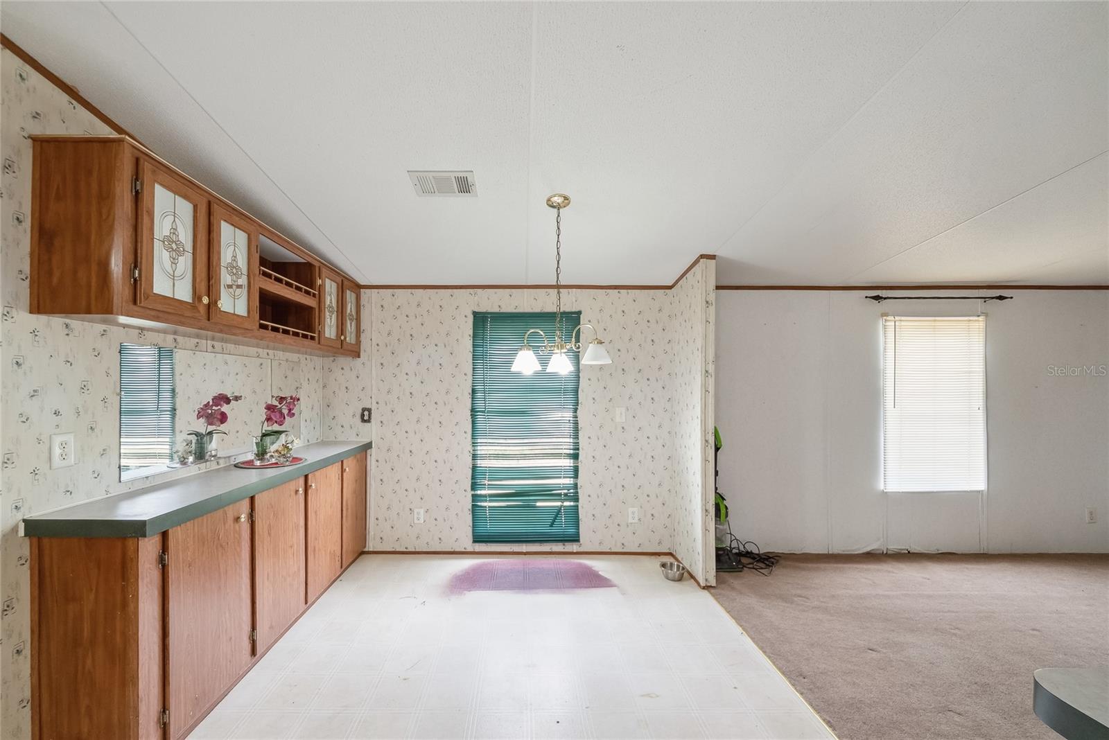 21750 SE 66TH ST, MORRISTON, FL, 32668