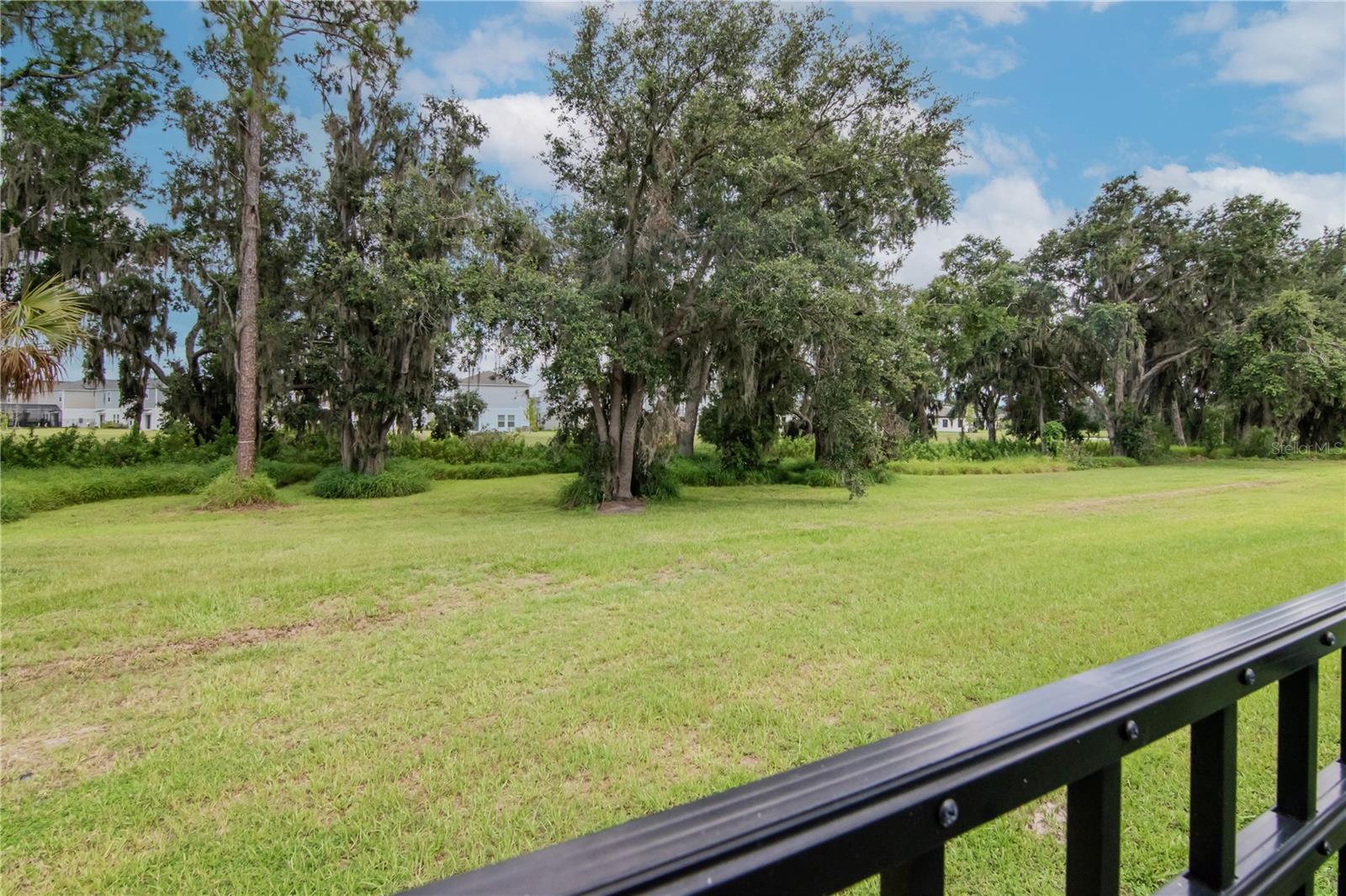 14787 GALLOP RUN DR, LITHIA, FL, 33547