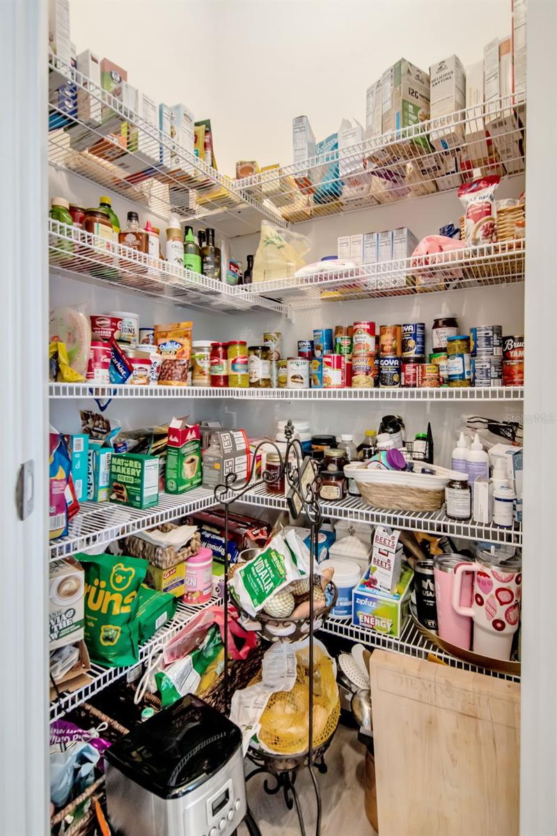 14787 GALLOP RUN DR, LITHIA, FL, 33547