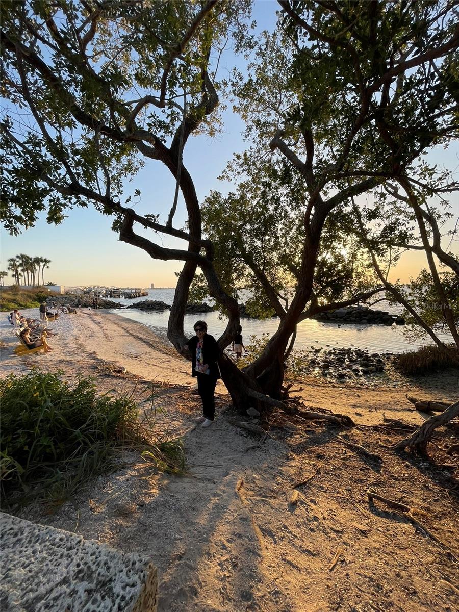 828 S TUTTLE AVE #A, SARASOTA, FL, 34237