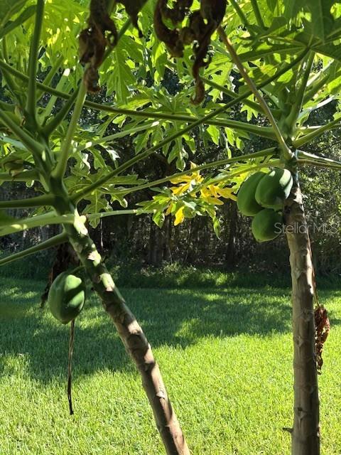 2218 NANTUCKET DR #44, SUN CITY CENTER, FL, 33573