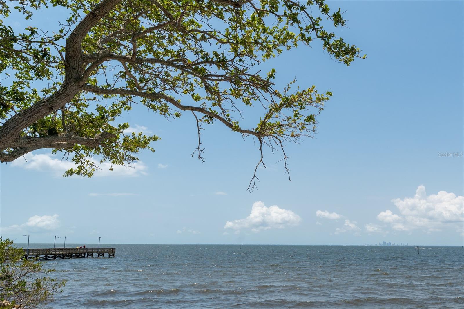 611 DESTINY DR #509, RUSKIN, FL, 33570