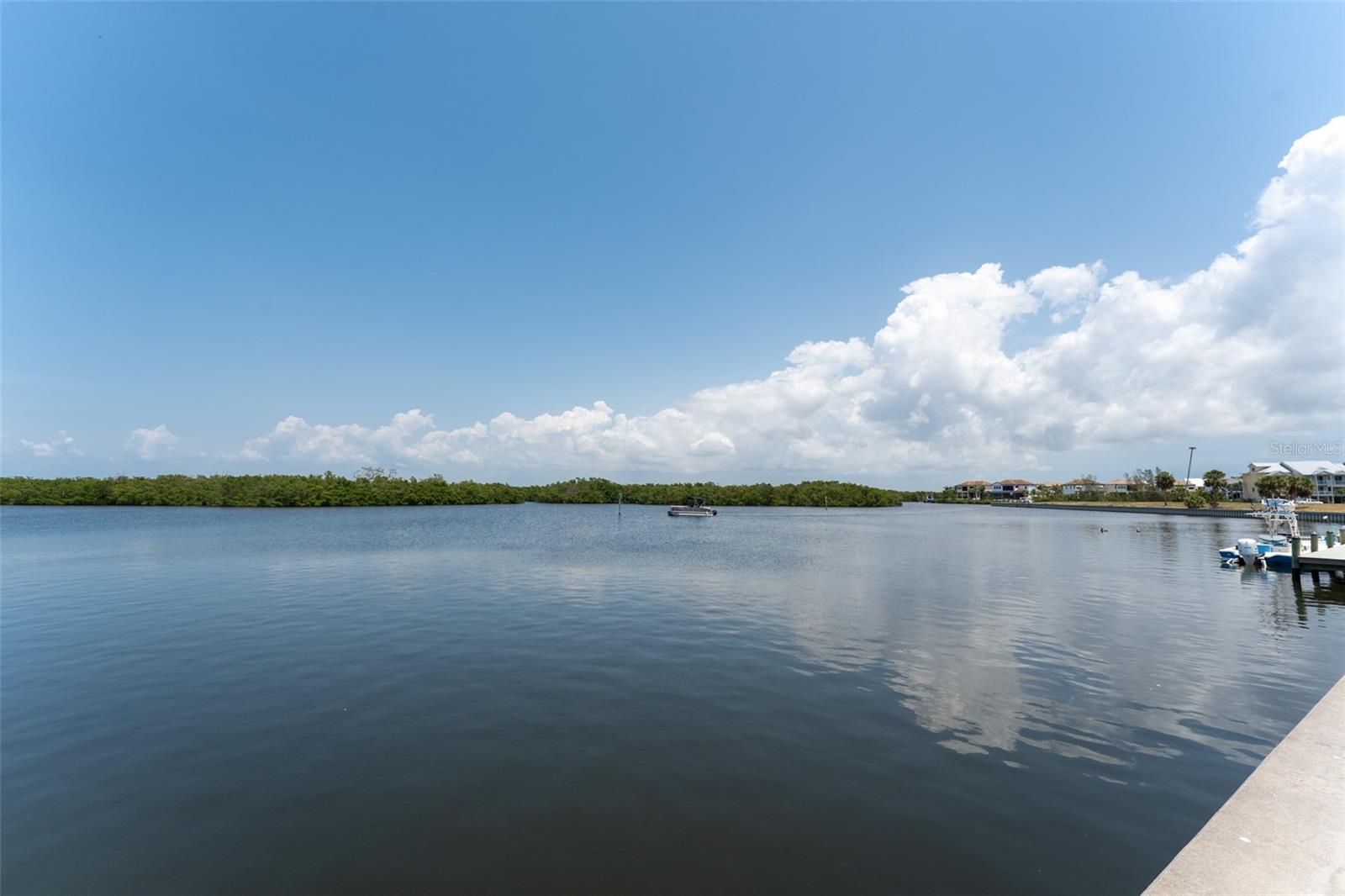 611 DESTINY DR #509, RUSKIN, FL, 33570