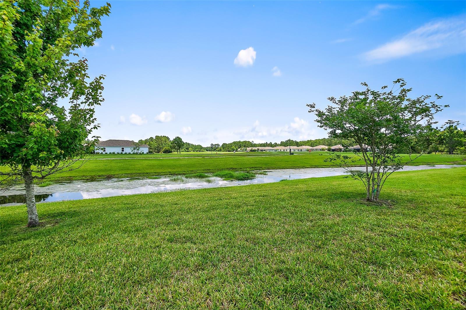 116 GOLFVIEW CT, BUNNELL, FL, 32110