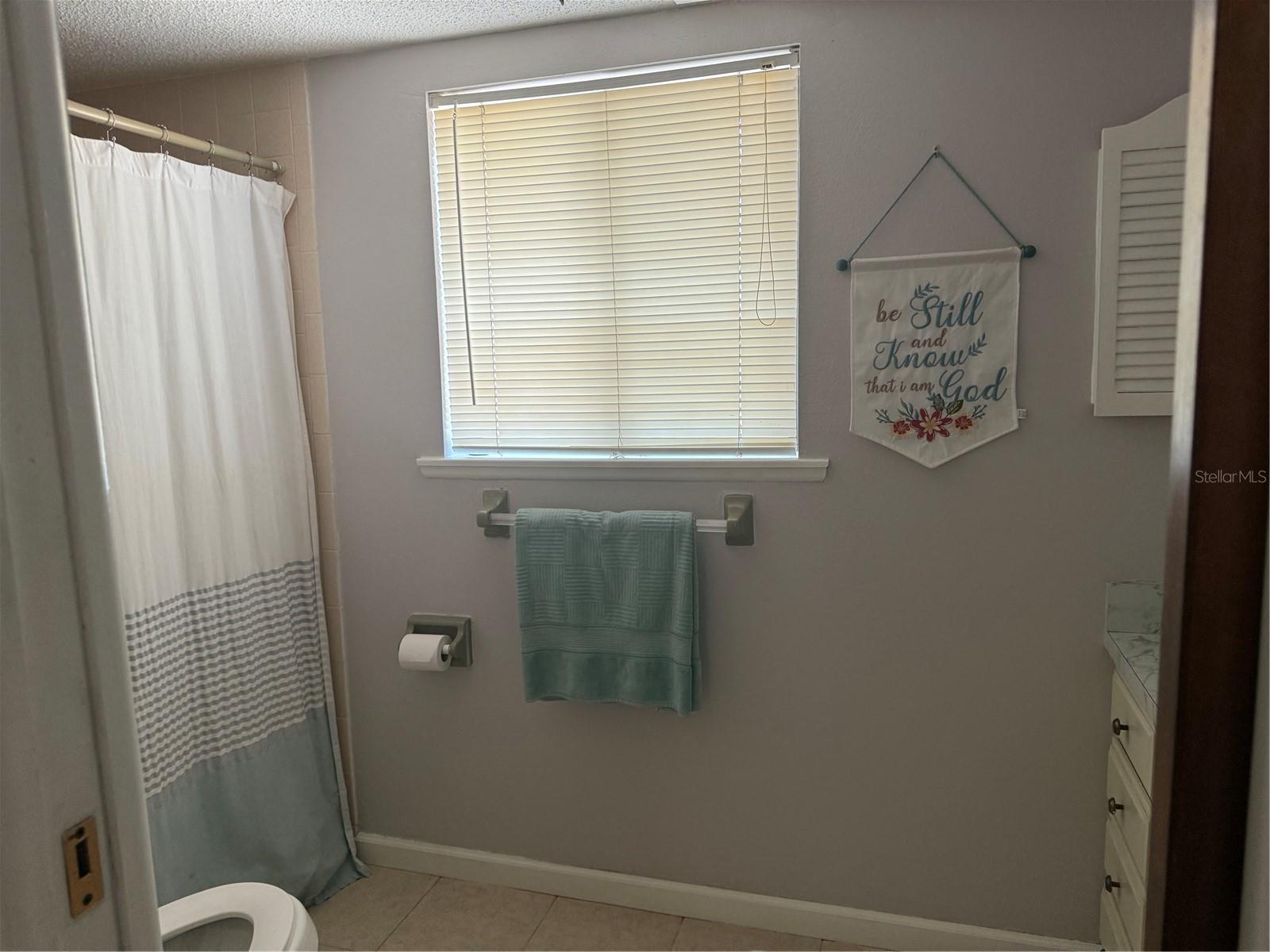 11087 ADDISON ST, SPRING HILL, FL, 34609