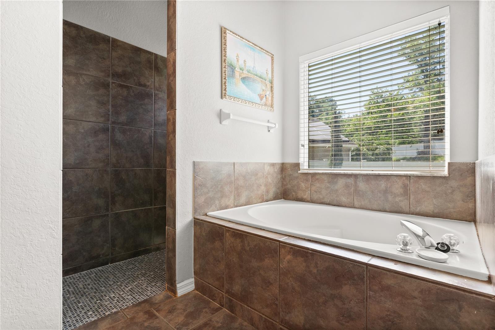 4065 SHADOWIND WAY, GOTHA, FL, 34734