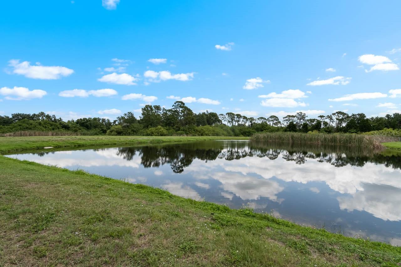 816 COLLEGE CHASE DR, RUSKIN, FL, 33570