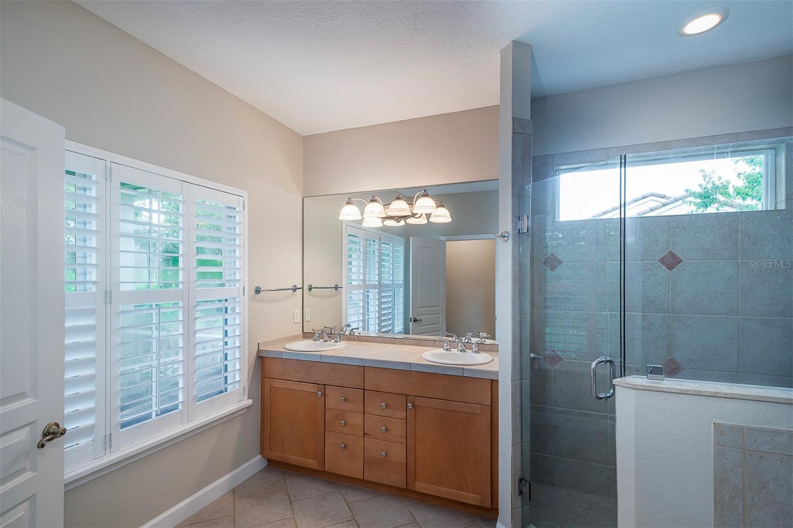 8335 LAKE BURDEN CIRCLE, WINDERMERE, FL, 34786