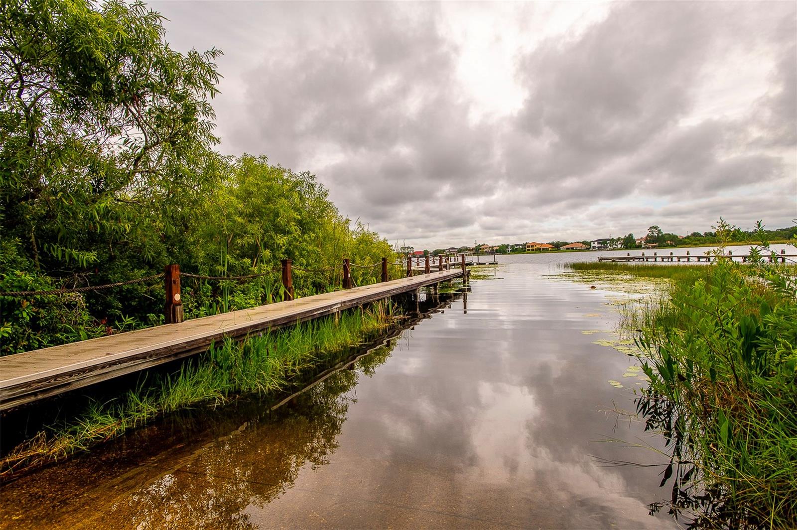 8335 LAKE BURDEN CIRCLE, WINDERMERE, FL, 34786