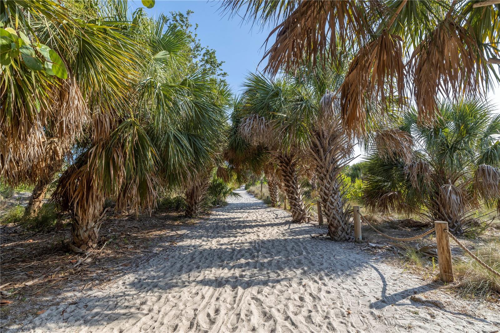 310 AVENIDA MILANO, SARASOTA, FL, 34242