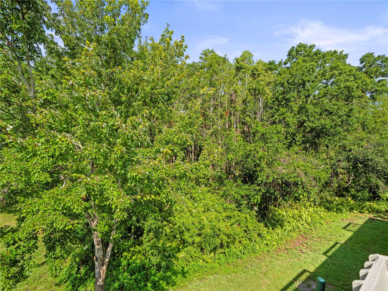 14134 TROUVILLE DR, TAMPA, FL, 33624